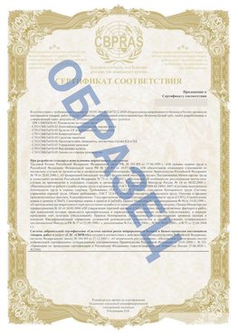 Образец Приложение к СТО 01.064.00220722.2-2020 Мичуринск Сертификат СТО 01.064.00220722.2-2020 